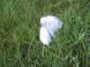 122-2229_IMG.jpg (69,967 bytes)