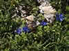 122-2246_IMG.jpg (72,517 bytes)