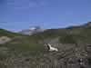123-2312_IMG.jpg (31,007 bytes)