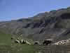 123-2315_IMG.jpg (31,857 bytes)