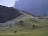 123-2341_IMG.jpg (27,631 bytes)