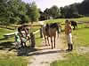118-1856_img.jpg (28,548 bytes)